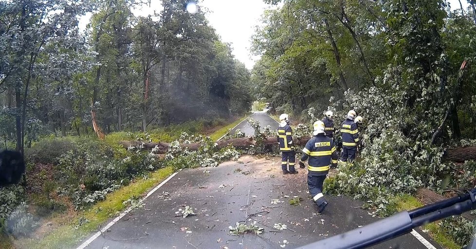 Liják s vichrem se prohnal Královéhradeckým krajem, stromy padaly i na auta (2. 7. 2020).