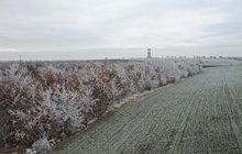 Mráz přikryl republiku: Na Šumavě bylo minus 27,3 °C