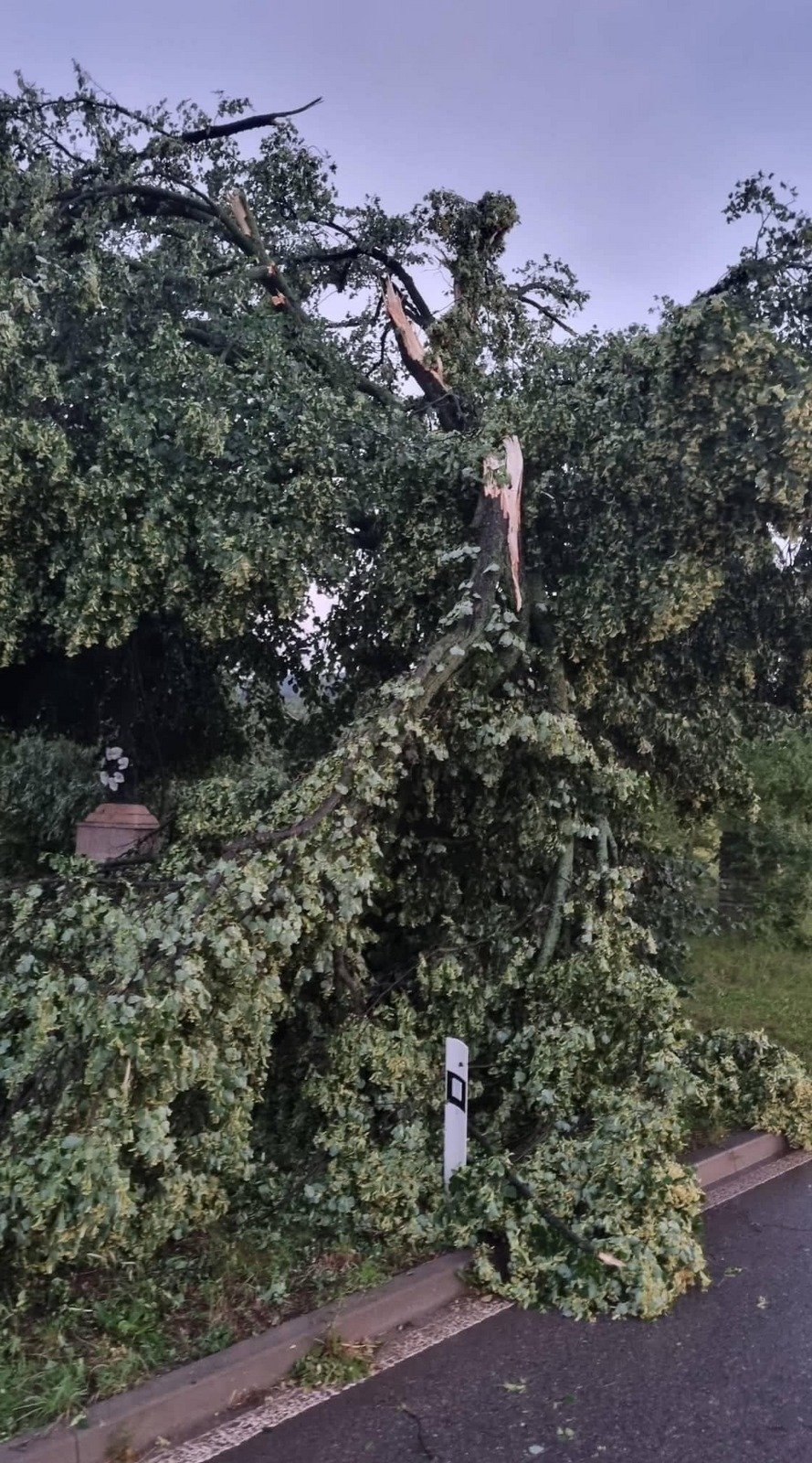 Bouře se přehnala v pondělí 20. června Hodonínskem. Zasáhla Kuželov i Hrubou a Malou Vrbku.