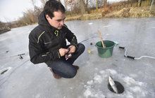 Noční teploty až – 30 °C! Mrazy využívají rybáři: Šupináče chytají v dírách ledu!