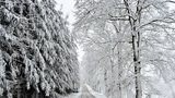 Můžeme se těšit na bílé Vánoce? Mrznout bude hlavně v noci, meteorologové řekli víc