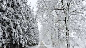 Do Česka dorazí mrazy, přidá se i sněžení.