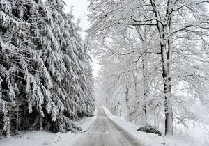 Do Česka dorazí mrazy, přidá se i sněžení.