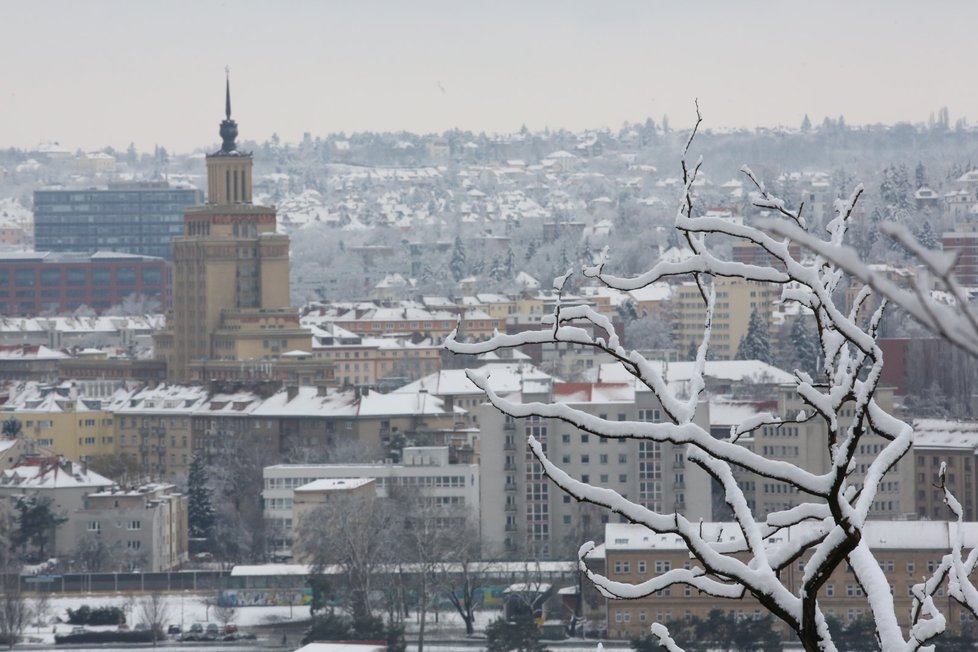 Na řadě míst Česka v prosinci nasněžilo.