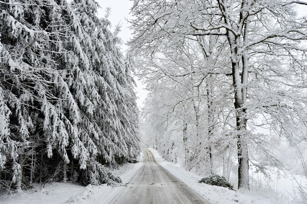 Do Česka dorazí mrazy, přidá se i sněžení.