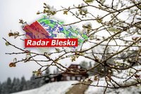 Meteorologové varují: Napadne až 40 cm sněhu! Mrazy mohou spálit ovocné stromy. Sledujte radar Blesku!
