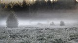 Mrazivé ráno v Česku: Ve Volarech naměřili -8,5 °C, pod nulou bylo i na Šumavě