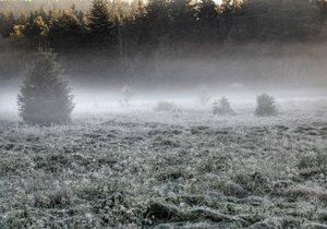 Nejnižší teplotu v noci naměřila jedna ze dvou stanic v jihočeských Volarech, kde bylo minus 8,5 stupně Celsia. Mrzlo i na dalších místech jihu Čech.