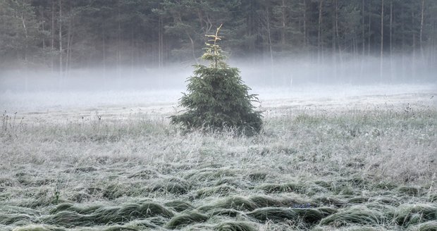 Nejníže v noci klesla teplota měřená ve dvou metrech nad zemí na stanici Jelení v Krušných horách, kde se rtuť v teploměru dostala až na minus 5,7 stupně.