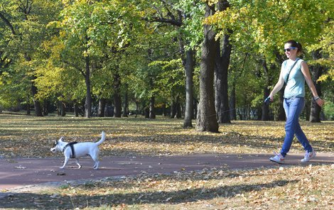 Ráno se plazí po zemi mlha a teploty klesají k pěti stupňům...přes den stoupá rtuť teploměru vysoko nad 20 stupňů.