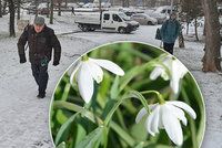 Česko sevře ledovka, sledujte radar Blesku. A příští týden naměříme až 12 °C