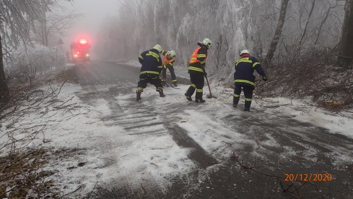 Desítky vzrostlých silných stromů už spadly za poslední tři dny na silnici 445 mezi Rýmařovem a místní částí Stránské na Bruntálsku. Důvodem je námraza, která stromy zatěžuje, ty potom praskají.