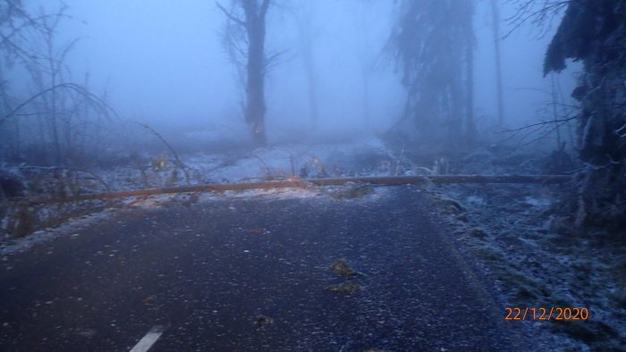 Desítky vzrostlých silných stromů už spadly za poslední tři dny na silnici 445 mezi Rýmařovem a místní částí Stránské na Bruntálsku. Důvodem je námraza, která stromy zatěžuje, ty potom praskají.