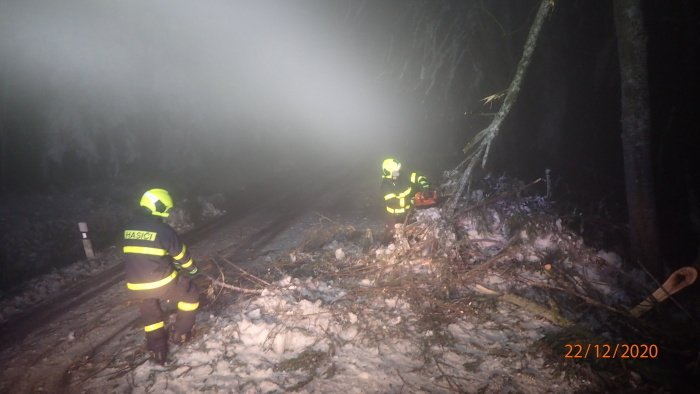 Desítky vzrostlých silných stromů už spadly za poslední tři dny na silnici 445 mezi Rýmařovem a místní částí Stránské na Bruntálsku. Důvodem je námraza, která stromy zatěžuje, a ty praskají.