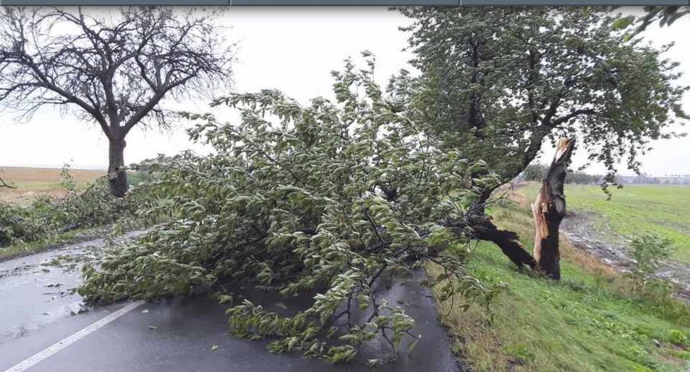 Vydatný déšť doprovázel na Olomoucku také silný vítr, lámal stromy