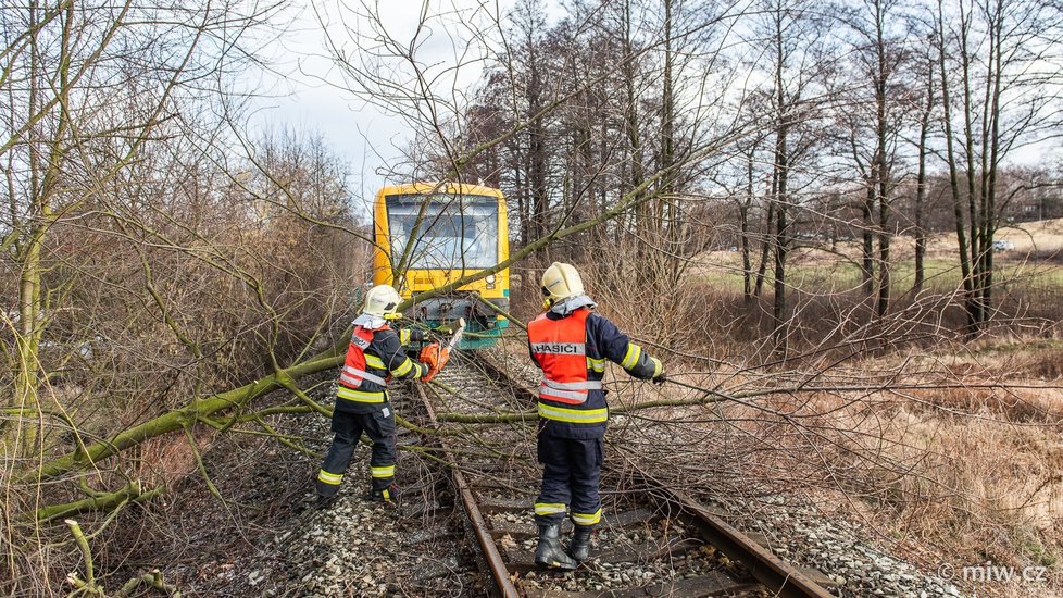 Malý strom spadl před vlak ve Varnsdorfu na Děčínsku
