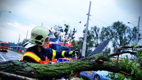 V Ostravě hasiči museli odčerpávat vodu z několika garáží, uvolňovat kanálové vpustě či odstranit popadané stromy. (26. 6. 2020)