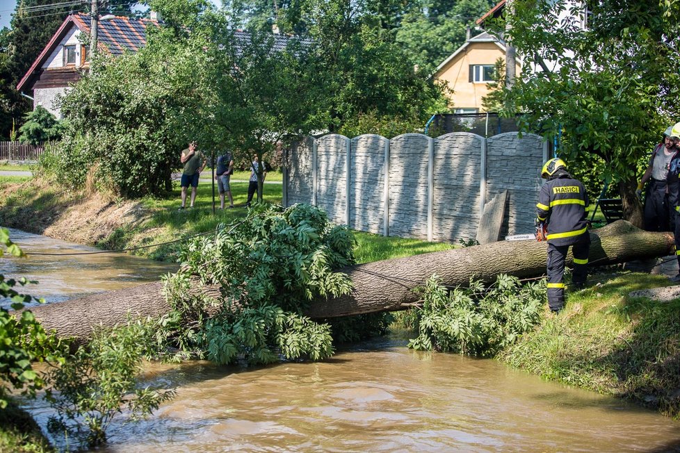 Silný déšť a vítr vyvrátil v Bravanticích na Novojičínsku strom, který se vyvrátil na plot a zasáhl i část střechy u rodinného domu. Pohromu likvidovali hasiči. (27. 6. 2020).