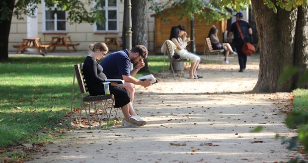 Středa 30. září přinese pokračování teplého babího léta s denními teplotami mezi 20 až 24 °C, na Českomoravské vrchovině a na severu Čech však počítejte s čerstvým jihovýchodním větrem s nárazy až 55 km/h. Ilustrační foto. Středa 30. září přinese pokračování teplého babího léta s denními teplotami mezi 20 až 24 °C, na Českomoravské vrchovině a na severu Čech však počítejte s čerstvým jihovýchodním větrem s nárazy až 55 km/h. Ilustrační foto.