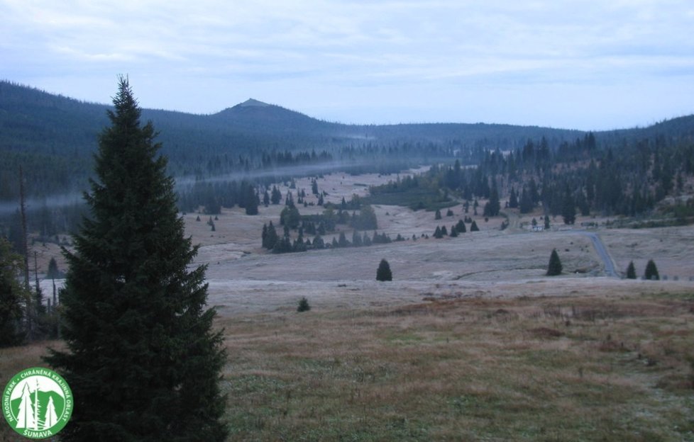 Vyplývá to z měsíčního výhledu počasí, který dnes zveřejnil Český hydrometeorologický ústav (ČHMÚ).