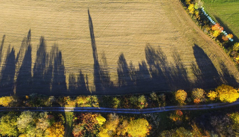 V Česku je nadprůměrně teplý listopad. Podle meteorologů vydrží pěkné počasí s minimem srážek minimálně do konce měsíce.