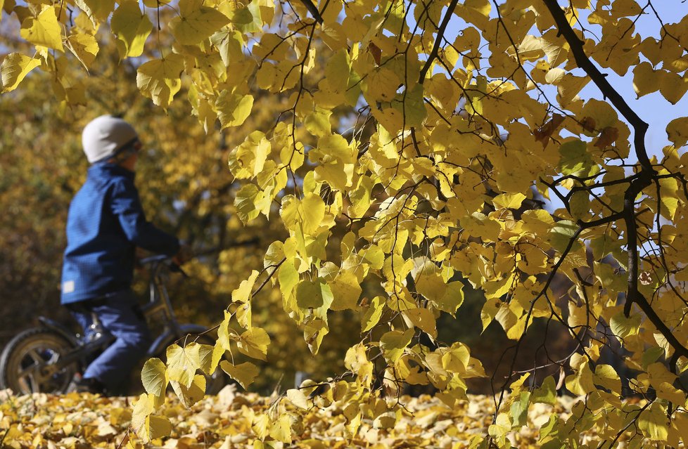 V Česku je nadprůměrně teplý listopad. Podle meteorologů vydrží pěkné počasí s minimem srážek minimálně do konce měsíce.