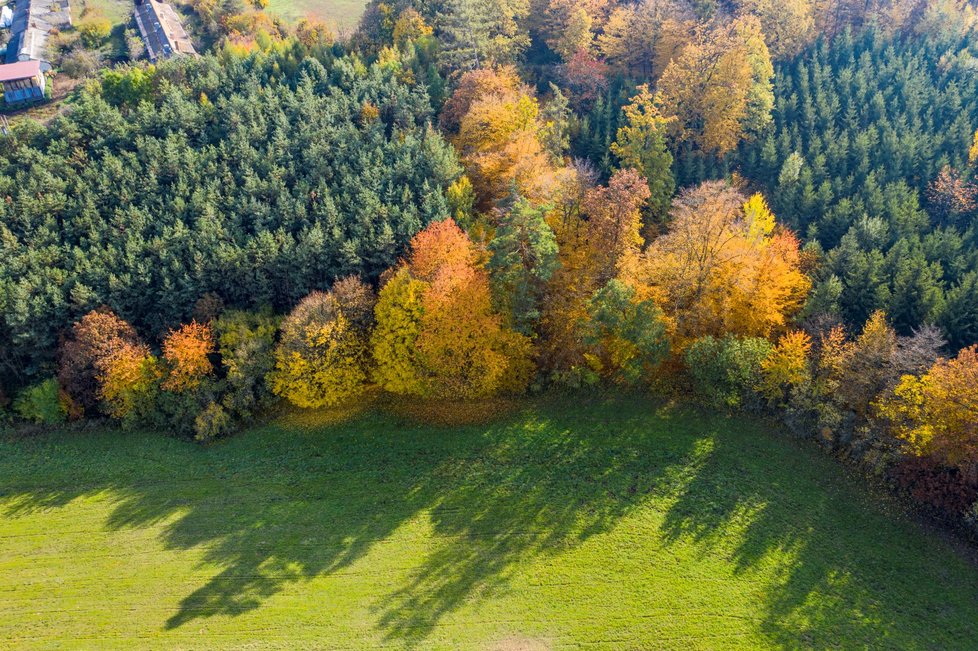 Podzim v Česku nabídl hřejivé teploty