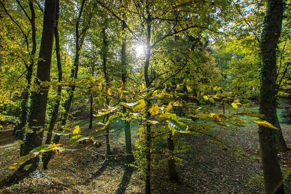 Lidé si v Česku užívali teplého podzimního počasí (20.10.2021)