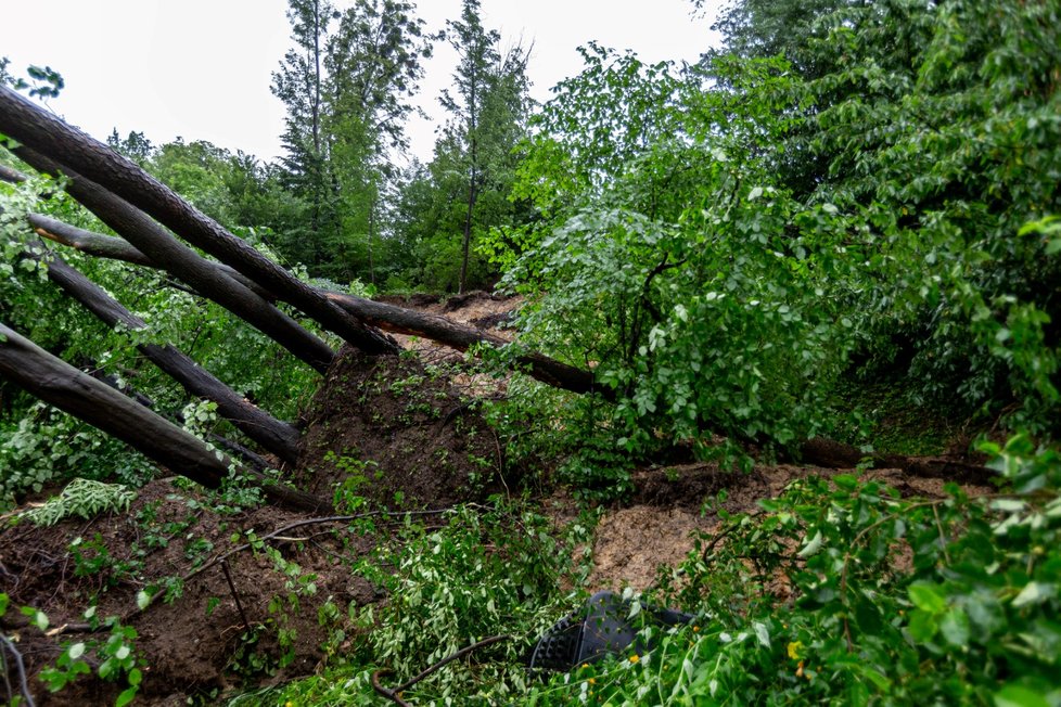 V obci Lubina na Novojičínsku se 21. června 2020 sesunul svah. Popadané stromy poškodily sloupy elektrického vedení a ohrožují i nedaleké domy.