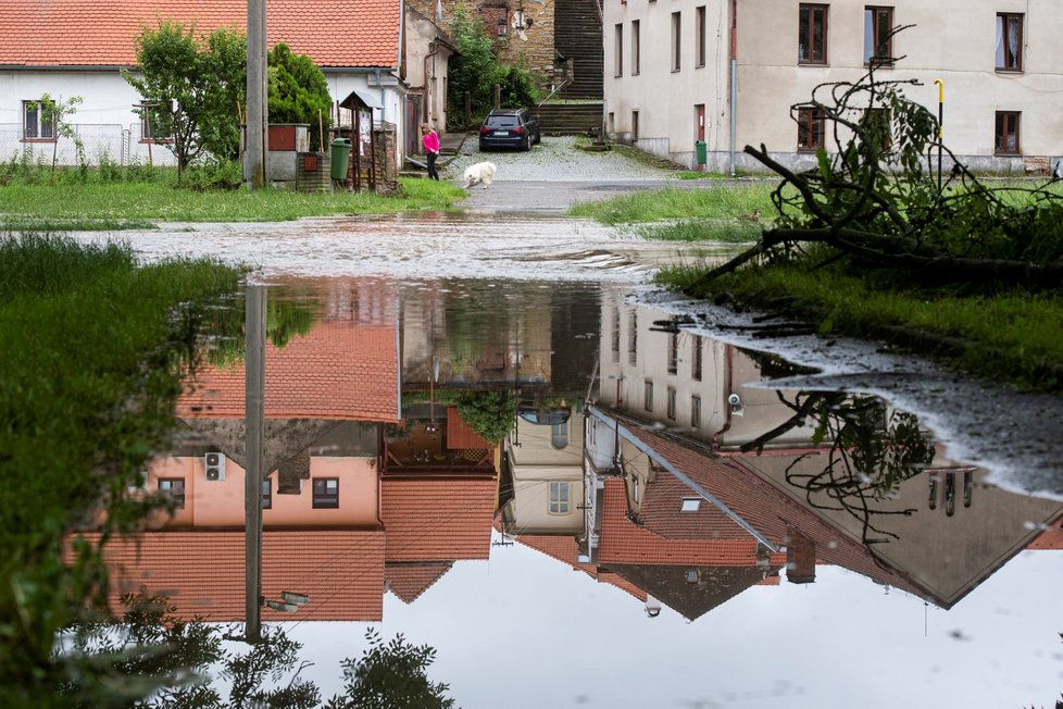 Stav ohrožení začal opět platit ráno 21. června 2020 na říčce Novohradka v obci Luže na Chrudimsku, kde přesáhla hranici 3. povodňového stupně. Na snímku je rozlitá Novohradka v obci Luže.