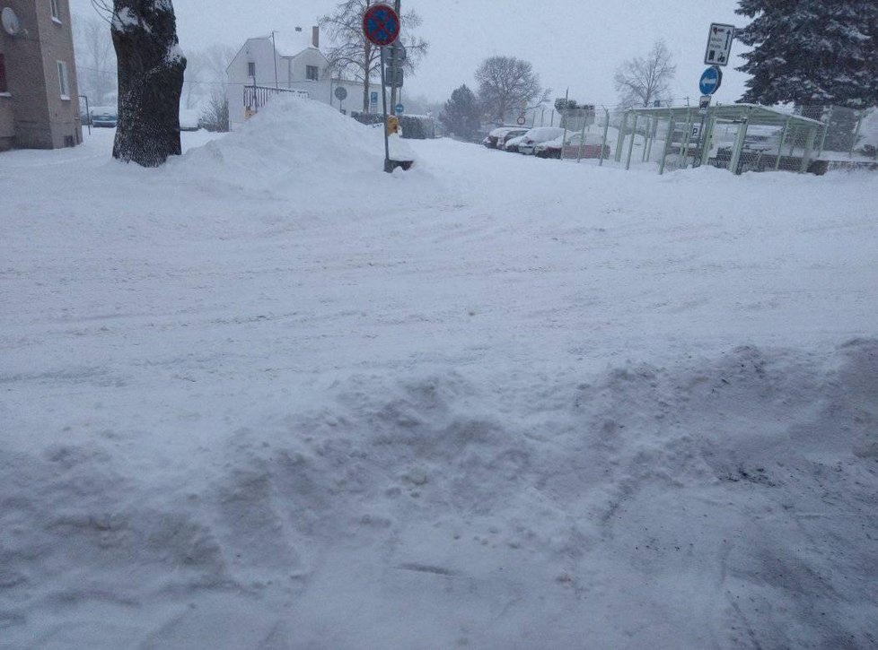 Sníh na Náchodsku, 8. února 2021.