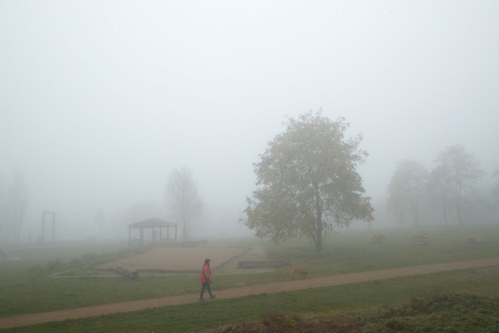 Praha se během prvního listopadového týdne zahalila do mlhy.