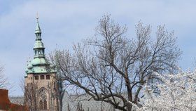 Praha díky nadprůměrně teplému počasí rozkvétá.