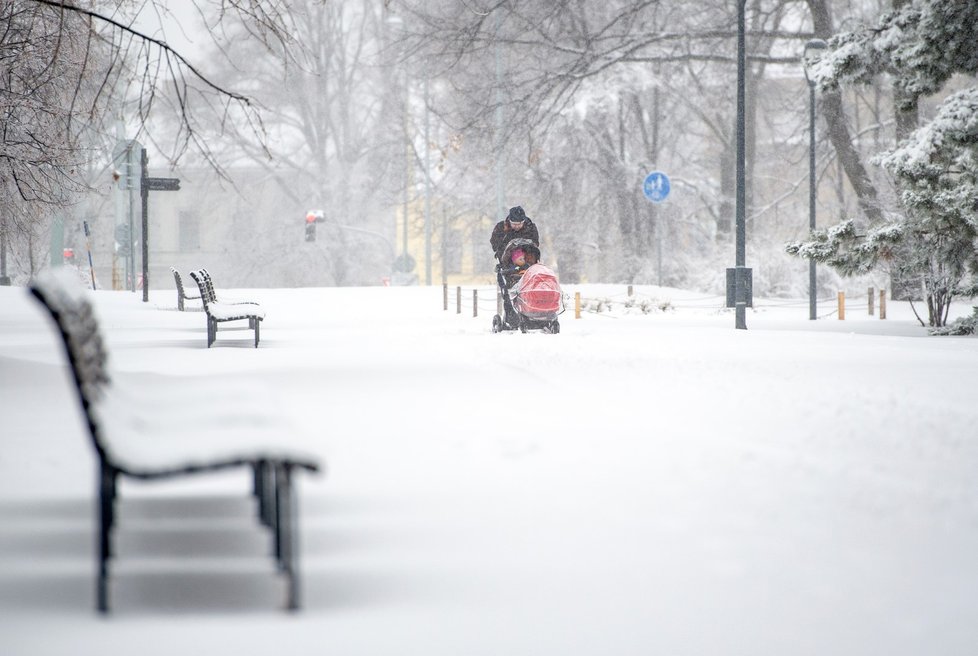 Sníh v Praze. (3.2.2019)