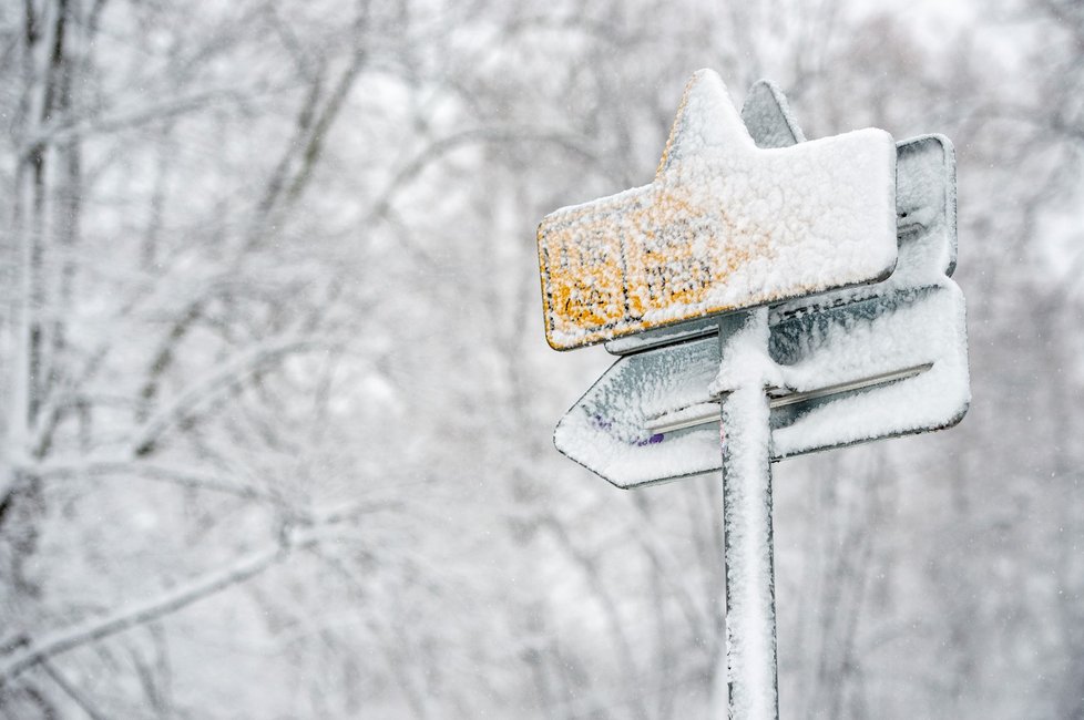 Sníh a mrazy podle meteorologů do poloviny března čekat nemáme