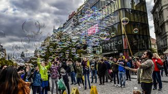 V roce 2015 bylo v Česku téměř půl milionu cizinců, nejvíce v historii