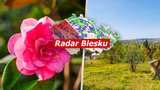 Slunečné počasí v Česku: Na jihu Moravy až 32 °C, v týdnu hrozí i bouřky, sledujte radar Blesku