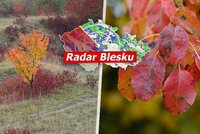 Předpověď: Začátkem týdne i 5 °C a déšť, na Šumavě sníh. O víkendu až 17 °C, sledujte radar Blesku