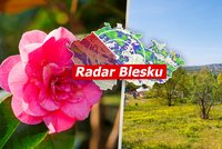Africké vedro v Česku: Teploty vyšplhaly až na 32,7 °C. V týdnu hrozí i bouřky, sledujte radar Blesku