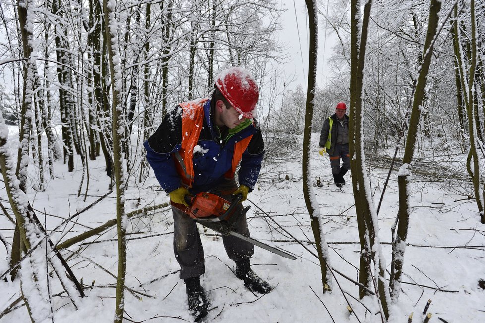 I na Příbramsku na začátku týdne kvůli sněhové kalamitě platil kalamitní stav vyhlášený ČEZ. Kvůli sněhu bylo bez proudu celkově asi tisíc domácností.