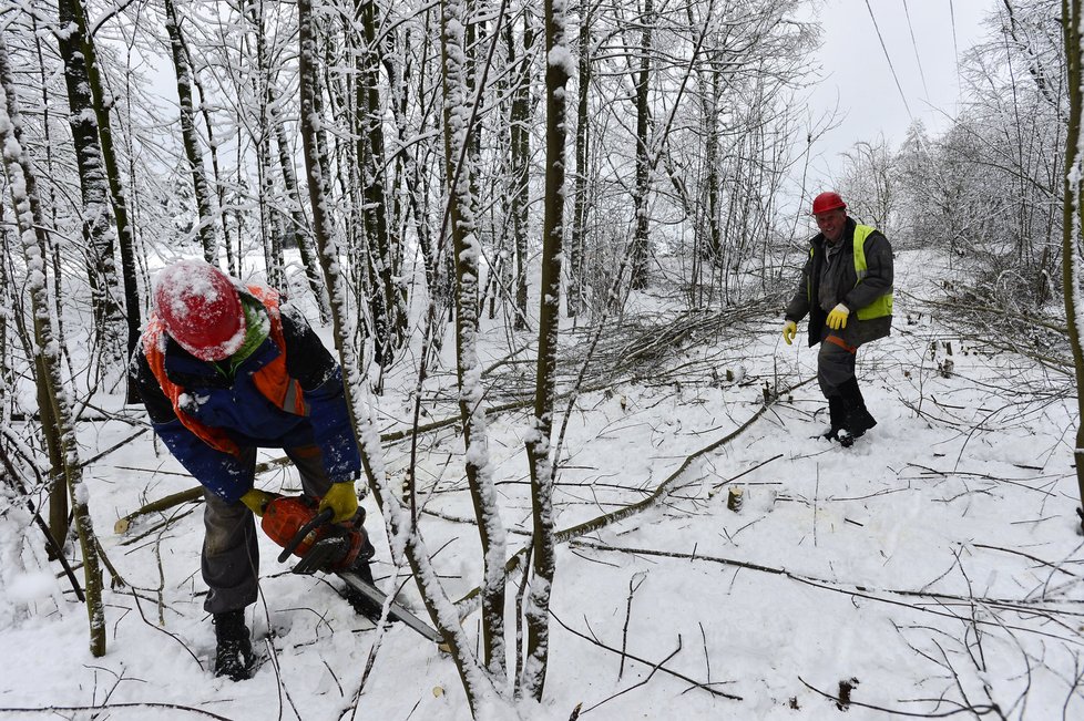 I na Příbramsku na začátku týdne kvůli sněhové kalamitě platil kalamitní stav vyhlášený ČEZ. Kvůli sněhu bylo bez proudu celkově asi tisíc domácností.