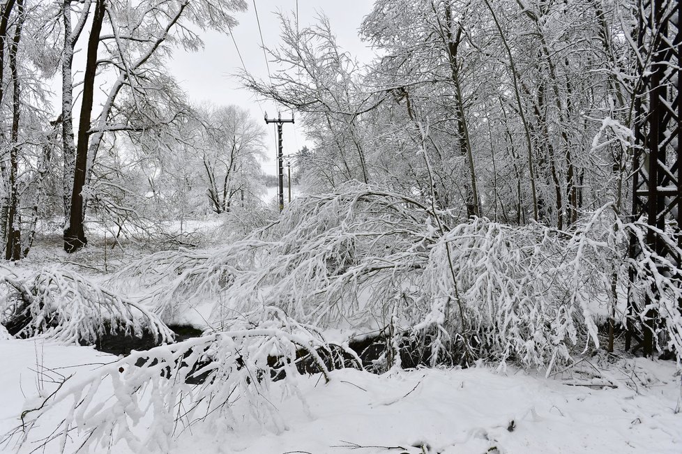 I na Příbramsku na začátku týdne kvůli sněhové kalamitě platil kalamitní stav vyhlášený ČEZ. Kvůli sněhu bylo bez proudu celkově asi tisíc domácností.