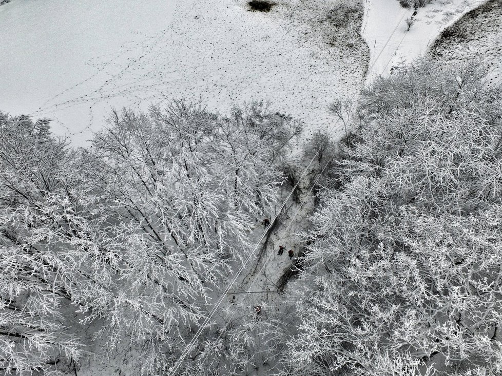 I na Příbramsku na začátku týdne kvůli sněhové kalamitě platil kalamitní stav vyhlášený ČEZ. Kvůli sněhu bylo bez proudu celkově asi tisíc domácností.