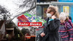 Česko zasáhne od středy silný vítr, ve čtvrtek může mít v nárazech až 110 km/h. Sledujte radar Blesku