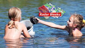 Dobrovolníci stěhovali škeble a velevruby z mělčin Boleveckého rybníka v Plzni na hlubší vodu (6. 8. 2020)