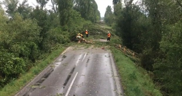 Extrémní bouřky na Slovensku: Silný vítr vyvracel stromy.