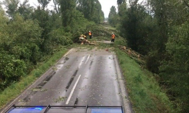 Extrémní bouřky na Slovensku: Silný vítr vyvracel stromy.