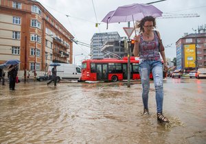 Řeky se klidní, bdělost ale platí na Teplé Vltavě a Otavě. Povodně dál hrozí v jižních Čechách. (Ilustrační foto)