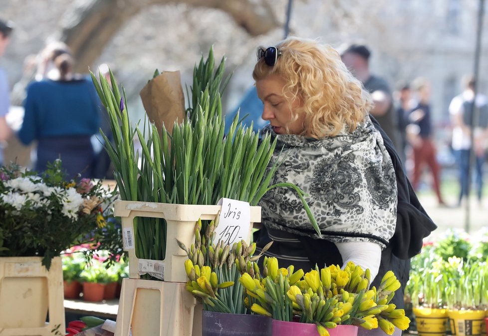 Slunečné počasí vylákalo Čechy ven. (23.3.2019)