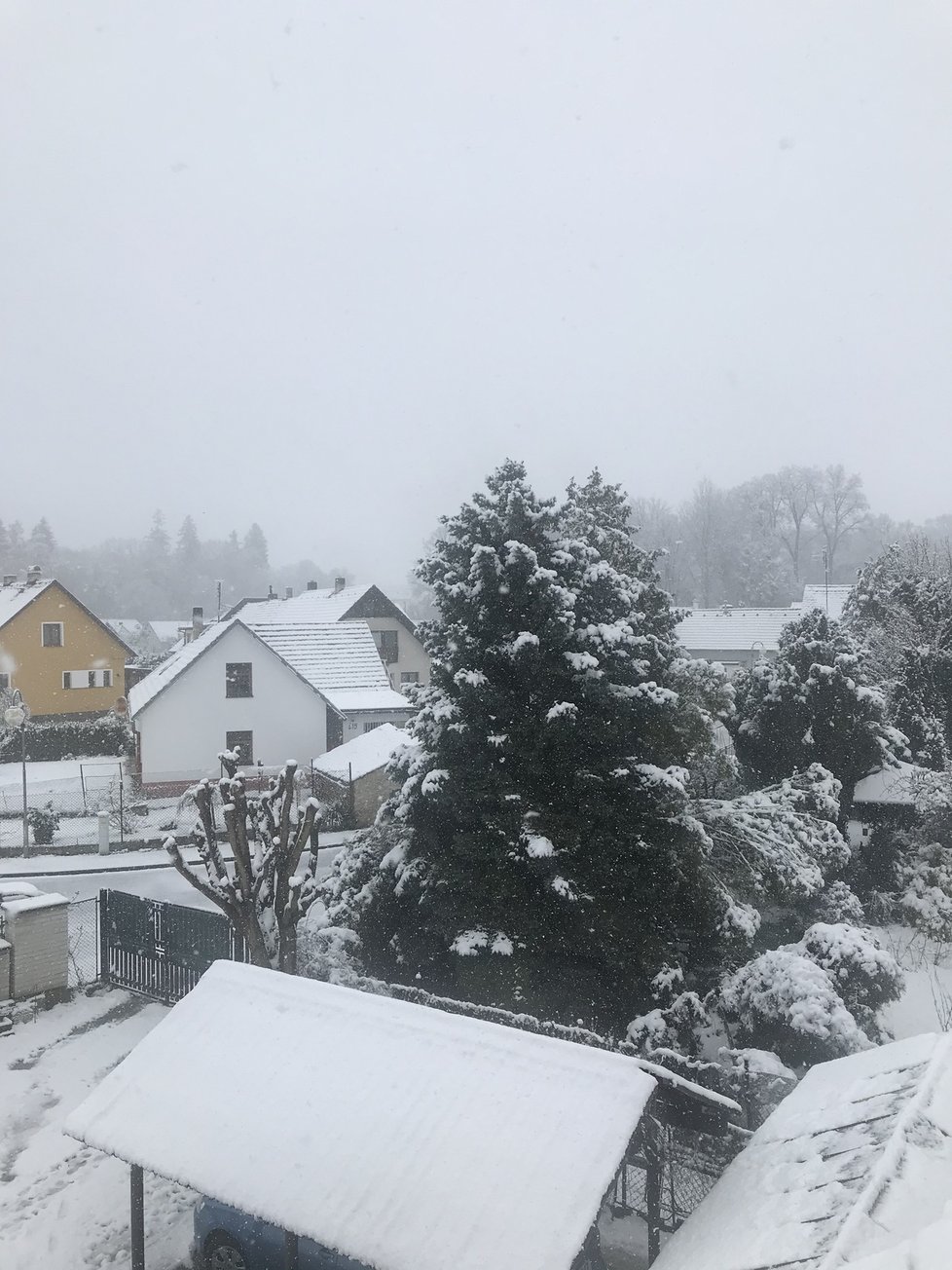 I přes oficiální příchod jara se vrátil sníh do Česka, ve kterém trvá stav nouze kvůli koronaviru (21.3.2020)